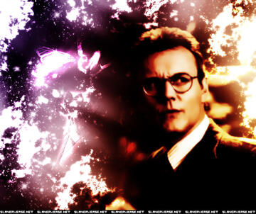 161.jpg