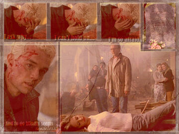 077.jpg